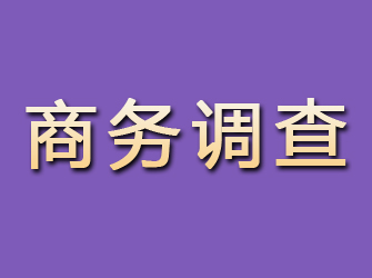 九江商务调查